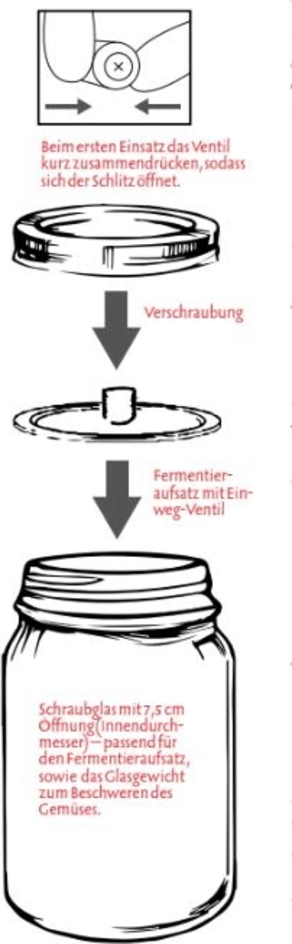 Mason-Fermentierset - 1 Set