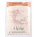 Reines Campechebaum-Pulver - 100 g