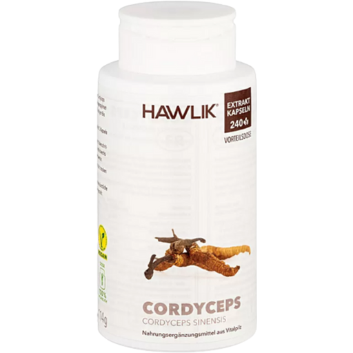 Cordyceps CS-4 Extract Capsules - 240 Capsules