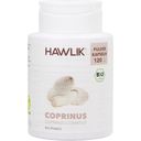 Hawlik Bio Coprinus v prahu - kapsule - 120 kap.