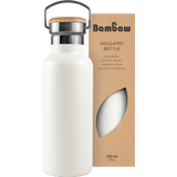 Insulated Stainless Steel Bottle, 750 ml 
