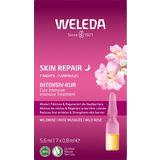 Weleda Wildrose Skin Repair Intensiv-Kur