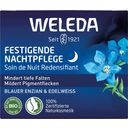 Blauer Enzian & Edelweiß Festigende Nachtpflege - 40 ml