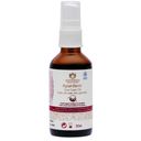 Maharishi Ayurveda Ayurdent® Gum Care Oil , kNk - 50 ml