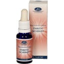 Dr. Ewald Töth® Light Quantum Essence - Stabilitet och trygghet