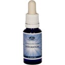 Dr. Ewald Töth® Light Quantum Essence - Integration