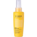 GYADA Cosmetics Anti-Frizz Spray