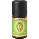 PRIMAVERA Organic Himalayan Cedar - 5 ml