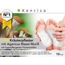 ABM Kräuterpflaster mit Agaricus Blazei Murill - 2 Stück - Probepackung